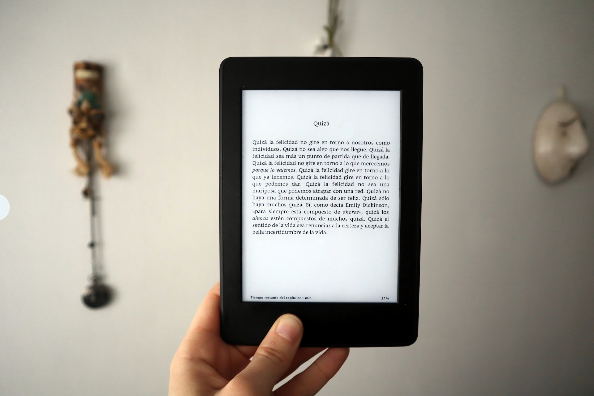 Hand holding up an ereader.