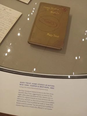 An exhibition of Mary Treat's book "Home Studies in Nature, who corresponded with Charles Darwin.